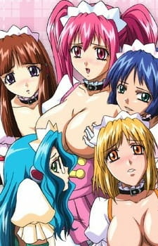 Смотреть онлайн хентай Упругие секс-воины / Famiresu Senshi Purin